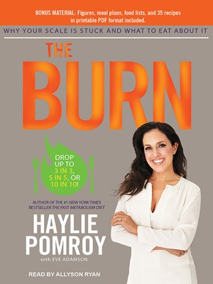 cover image of The Burn